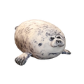 Sam The Seal