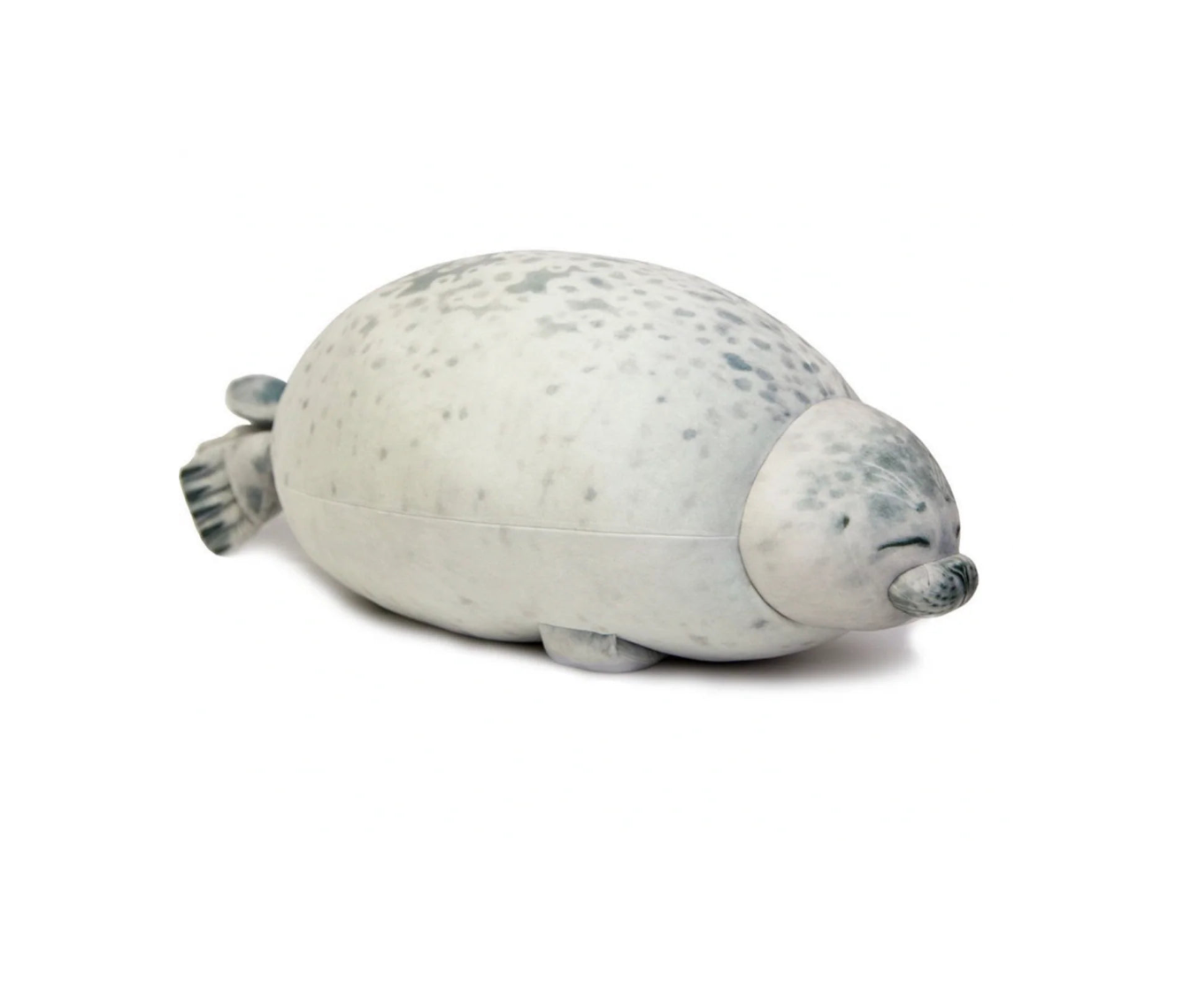 Sam The Seal